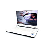 لپ تاپ استوک ان ای سی NEC Lavie NS100/C سلرون نسل پنجم