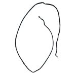 کابل وب کم لپ تاپ فوجیتسو Fujitsu LifeBook A742