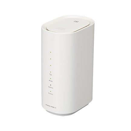 مودم ان ای سی مدل WiMAX HOME 01