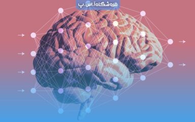 عنوان مقاله تکثیر مغز انسان