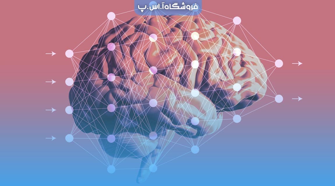 عنوان مقاله تکثیر مغز انسان