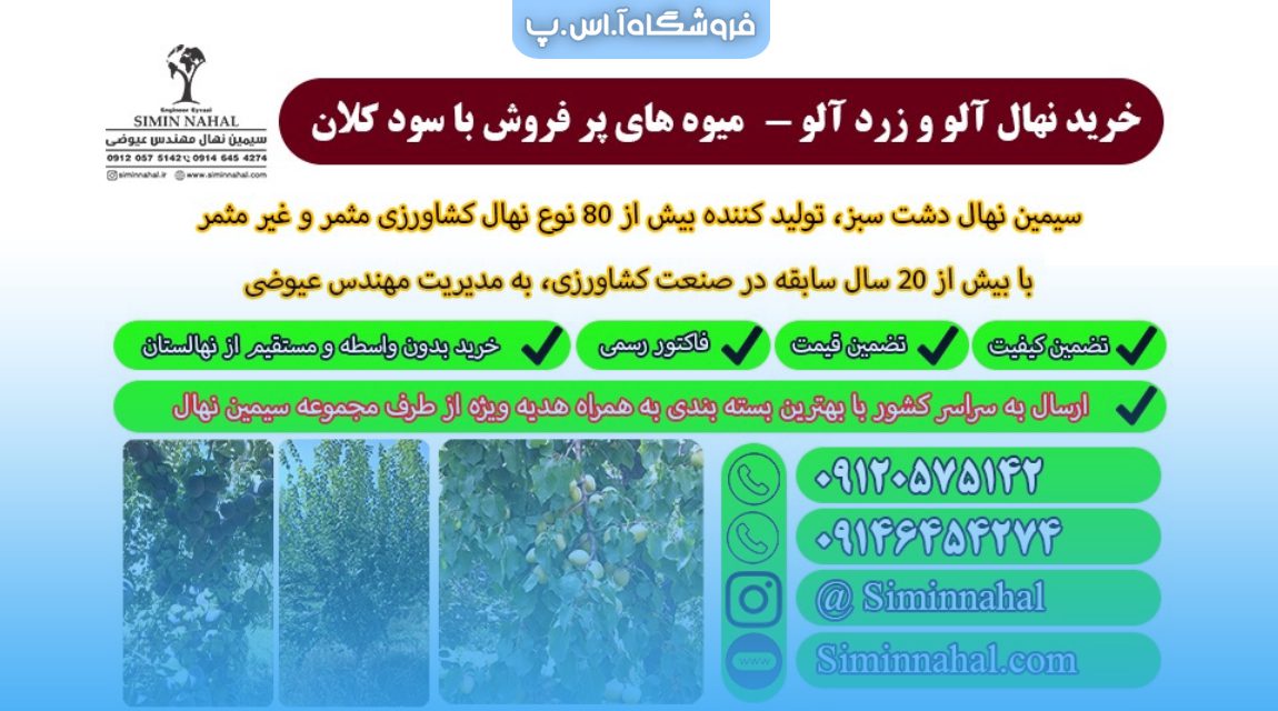 خرید نهال آلو و زردآلو - نهال هایی با میوه تابستانی پر طرفدار به ارزش طلا