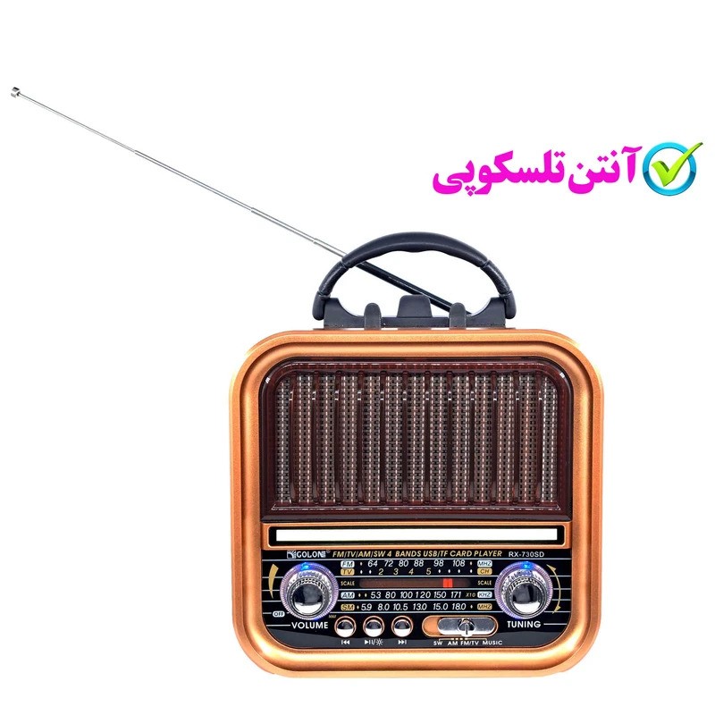 رادیو اسپیکر کلاسیک گولون مدل GOLON RX-730D