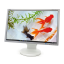 مانیتور ۲۲ اینچی ان ای سی مدل NEC EA221WM، رزولوشن 1680×1050 (WSXGA+) و نور پس‌زمینه CCFL، دارای یک عدد DVI،یک عدد VGA با نسبت تصویر 16:10