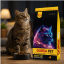 غذای خشک گربه درسا پت 10 کیلوگرم Dorsa Pet Cat Dry food