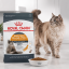 غذای خشک گربه پوست و مو رویال کنین 1 کیلوگرم Royal Canin Hair and Skin