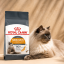 غذای خشک گربه هیر اند اسکین رویال کنین 2 کیلوگرم Royal Canin Hair and Skin Adult