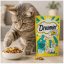 تشویقی دریمیز گربه با طعم ماهی سالمون و پنیر 60 گرم Dreamies Cat Snack