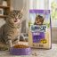 غذای خشک گربه ونپی با طعم مرغ 1 کیلوگرم Wanpy chicken flavor