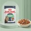 غذای پوچ گربه رویال کنین دایجستیو 85گرم RoyalCanin Digestive