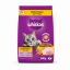غذای خشک گربه بالغ با طعم مرغ ویسکاس 300 گرم Whiskas Food