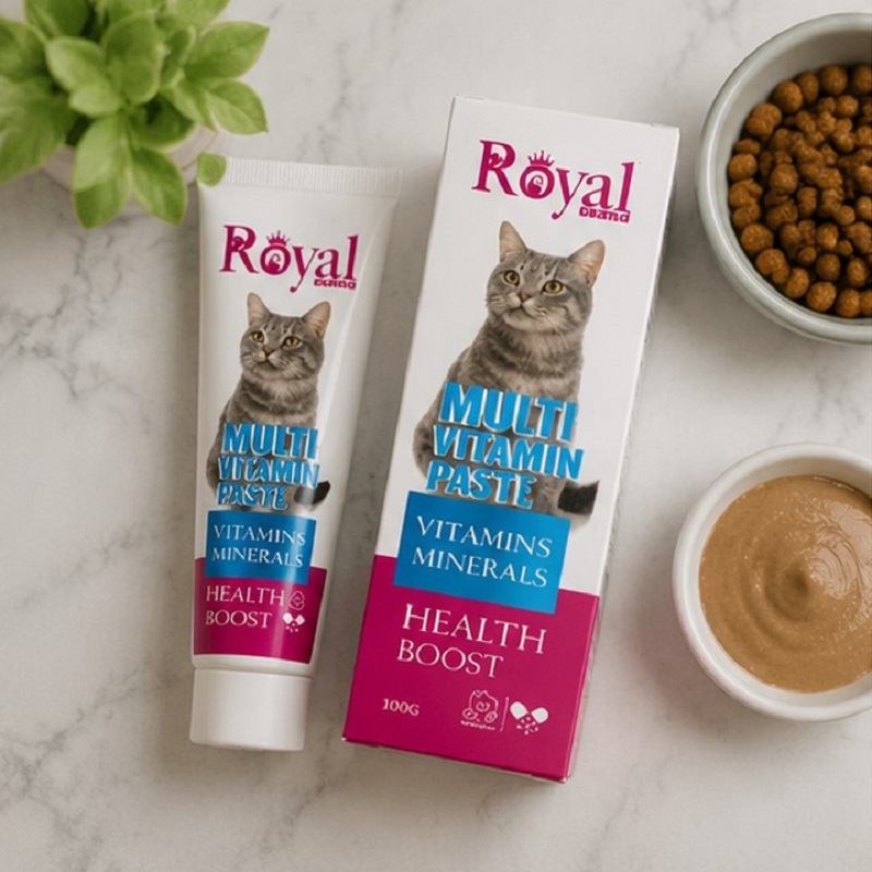 خمیر مولتی ویتامین گربه رویال کوکو 100 گرم Royal Coco Paste