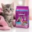 غذای خشک بچه گربه با طعم ماهی ویسکاس 300 گرم Whiskas Food