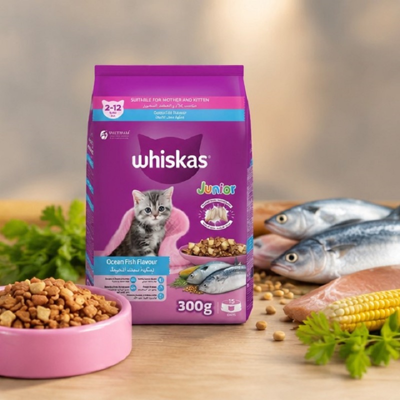 غذای خشک بچه گربه با طعم ماهی ویسکاس 300 گرم Whiskas Food