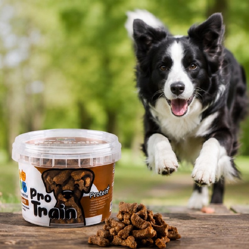 تشویقی سگ پرو ترین نوریش پت با طعم گوشت بره 145 گرم Nourish Pet Snack