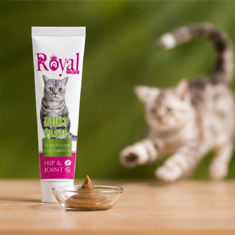 خمیر تقویت مفاصل و استخوان گربه رویال کوکو 100 گرم Royal Coco Paste