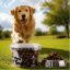 تشویقی سگ پرو ترین نوریش پت با طعم جگر گوسفند و پنیر 140 گرم Nourish Pet Snack