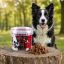 تشویقی سگ پرو ترین نوریش پت با طعم گوشت گاو 140 گرم Nourish Pet Snack