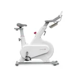دوچرخه ثابت شیائومی مدل Yesoul M1