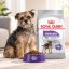 غذای خشک سگ رویال کنین مینی استرلایزد (عقیم شده) 3 کیلوگرم Royal Canin Food