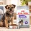 غذای خشک سگ رویال کنین مینی استرلایزد (عقیم شده) 1 کیلوگرم Royal Canin Food