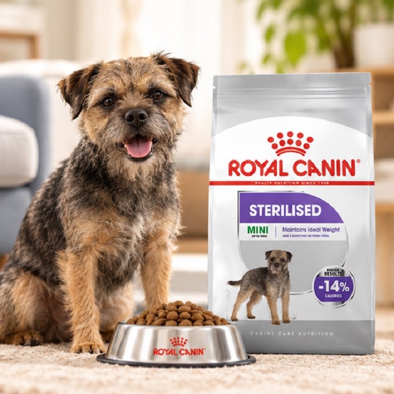 غذای خشک سگ رویال کنین مینی استرلایزد (عقیم شده) 1 کیلوگرم Royal Canin Food