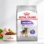 غذای خشک سگ رویال کنین مینی استرلایزد (عقیم شده) 1 کیلوگرم Royal Canin Food