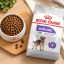 غذای خشک سگ رویال کنین مینی استرلایزد (عقیم شده) 1 کیلوگرم Royal Canin Food