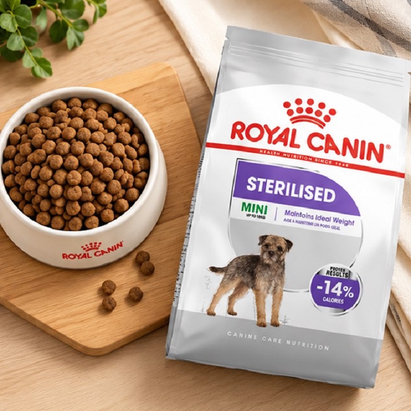 غذای خشک سگ رویال کنین مینی استرلایزد (عقیم شده) 1 کیلوگرم Royal Canin Food