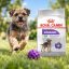 غذای خشک سگ رویال کنین مینی استرلایزد (عقیم شده) 1 کیلوگرم Royal Canin Food