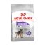 غذای خشک سگ رویال کنین مینی استرلایزد (عقیم شده) 1 کیلوگرم Royal Canin Food
