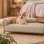 تخت پت مدل مانتن Pet Bed Mountain