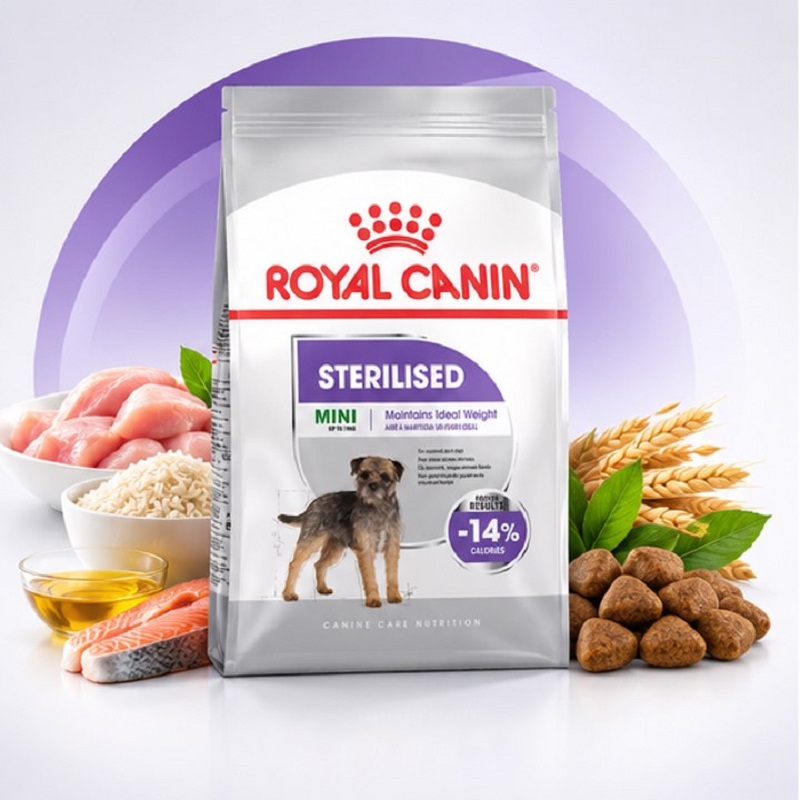 غذای خشک سگ رویال کنین مینی استرلایزد (عقیم شده) 3 کیلوگرم Royal Canin Food