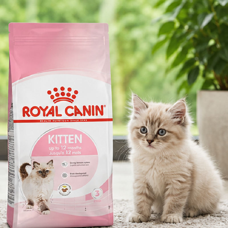 غذای خشک گربه کیتن رویال کنین 5 کیلوگرم Royal Canin kitten