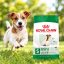 غذای خشک سگ نژاد کوچک بالای 8 سال رویال کنین 2 کیلوگرم Royal Canin Food