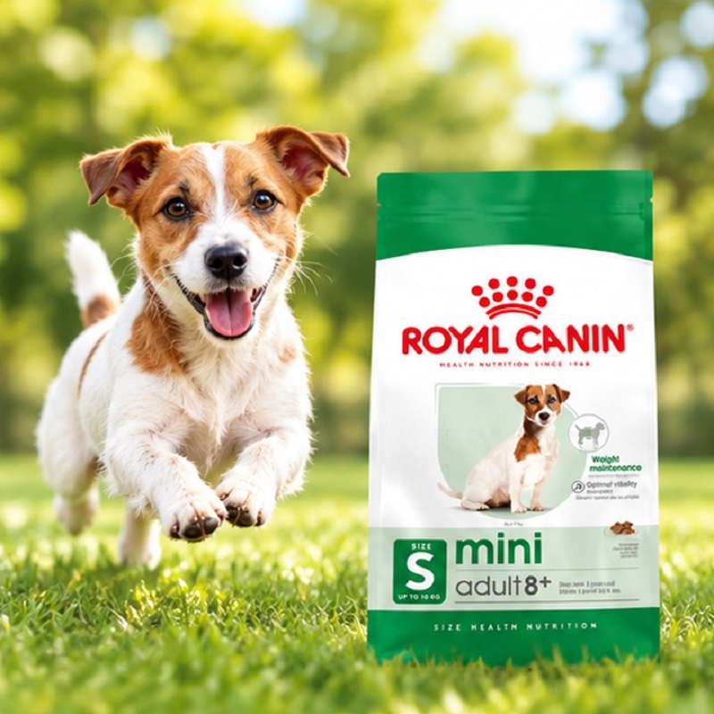 غذای خشک سگ نژاد کوچک بالای 8 سال رویال کنین 2 کیلوگرم Royal Canin Food