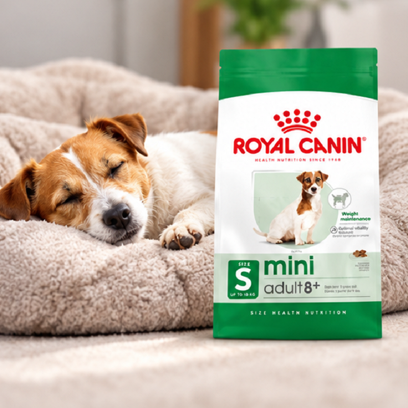 غذای خشک سگ نژاد کوچک بالای 8 سال رویال کنین 2 کیلوگرم Royal Canin Food