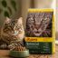 غذای خشک گربه جوسرا نیچرکت 1 کیلوگرم Josera NatureCat