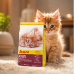 غذای خشک بچه گربه جوسرا کیتن 2 کیلوگرم Josera Kitten