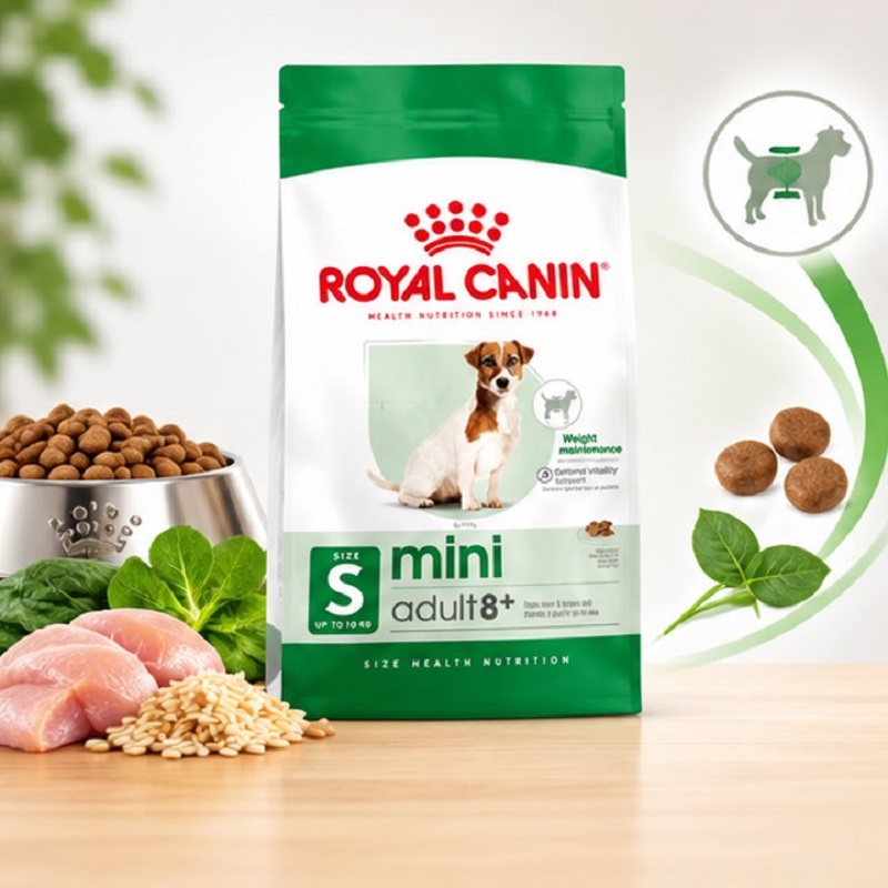 غذای خشک سگ نژاد کوچک بالای 8 سال رویال کنین 2 کیلوگرم Royal Canin Food