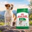 غذای خشک سگ رویال کنین مینی ادالت 500 گرم Royal Canin Food