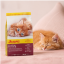 غذای خشک بچه گربه جوسرا کیتن 2 کیلوگرم Josera Kitten