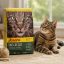 غذای خشک گربه جوسرا نیچرکت 1 کیلوگرم Josera NatureCat