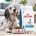 غذای خشک سگ رویال کنین هایپوآلرژنیک 1 کیلوگرم Royal Canin Food