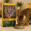 غذای خشک گربه جوسرا نیچرکت 500 گرم Josera NatureCat