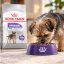 غذای خشک سگ رویال کنین مینی استرلایزد (عقیم شده) 3 کیلوگرم Royal Canin Food