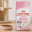 غذای خشک گربه کیتن رویال کنین 1 کیلوگرم Royal Canin kitten