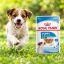 پوچ سگ مینی پاپی رویال کنین 85 گرم Royal Canin Food