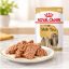 پوچ سگ شیتزو رویال کنین 85 گرم Royal Canin Pouch