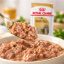 پوچ سگ شیتزو رویال کنین 85 گرم Royal Canin Pouch